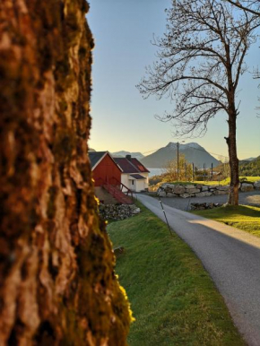 Fjords view